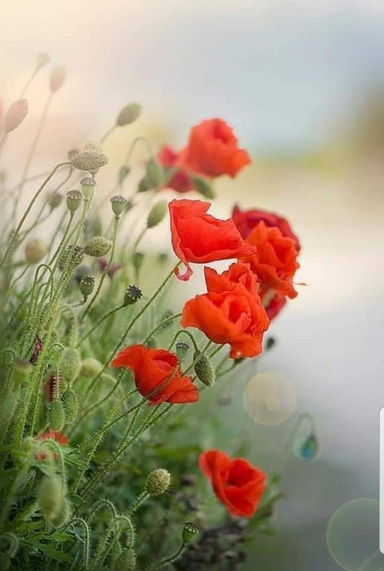 I Have The Sun In Me