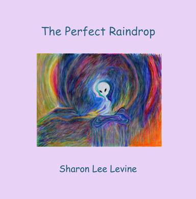 Image of Author The Perfect Raindrop