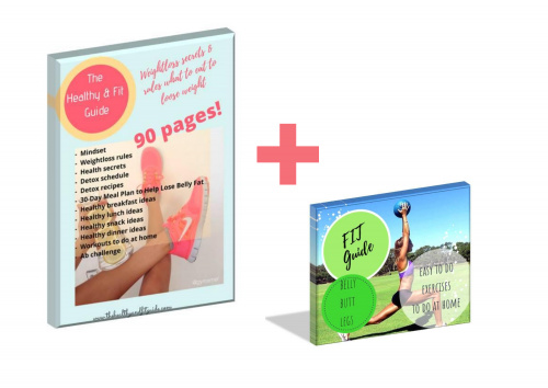 THE HEALTHY AND FIT PROGRAM