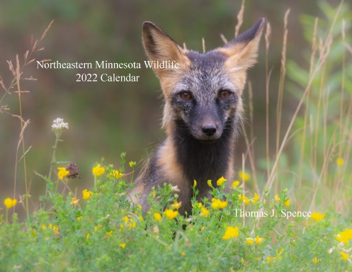 Northeastern 2022 Calendar 2022 Wildlife Calendar From Northeastern Minnesota
