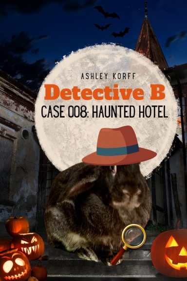 Detective B: Case 008: Haunted Hotel