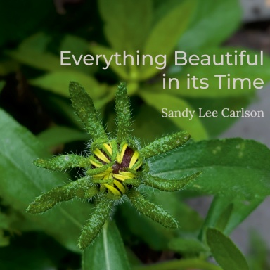Everything Beautiful in its Time