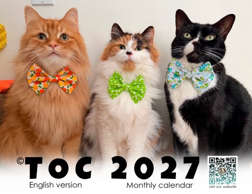 TOC 2027 Monthly Calendar