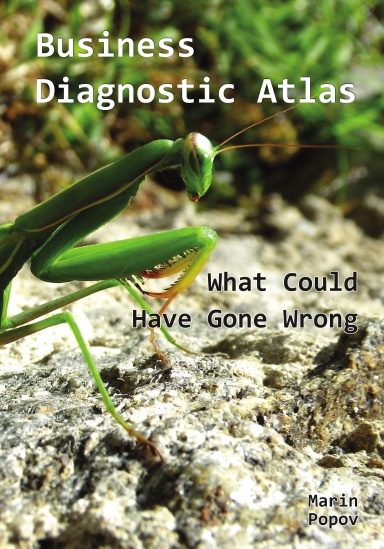 Business Diagnostic Atlas