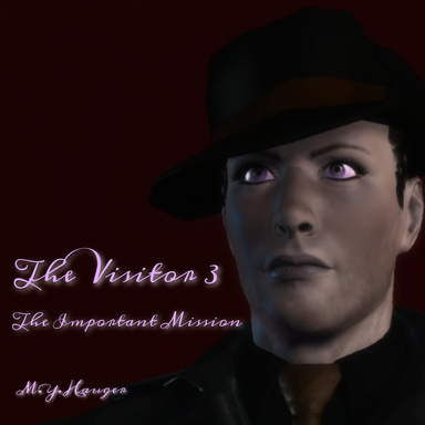 The Visitor 3