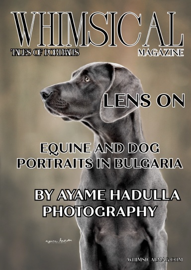 Whimsical Magazine