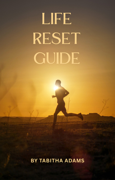Life Reset Guide