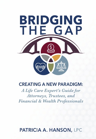 Bridging the Gap: Creating a New Paradigm