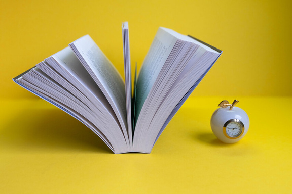 Top Speed Reading Techniques Explained