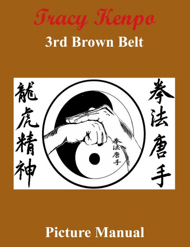 Tracy Kenpo 3rd Brown Belt