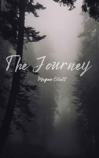 The Journey