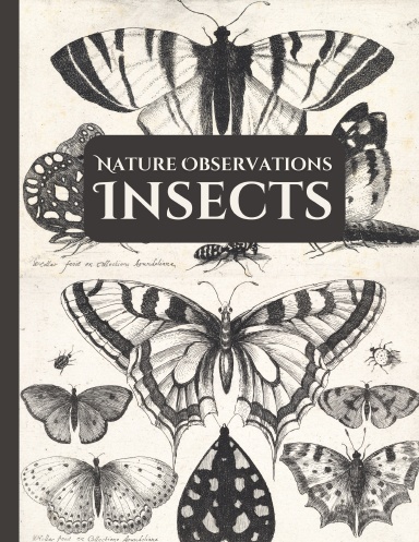 Nature Observations: Insects