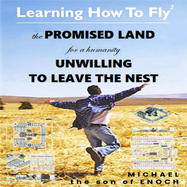 Learning How to Fly2