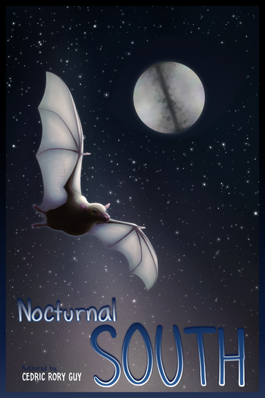 Nocturnal South