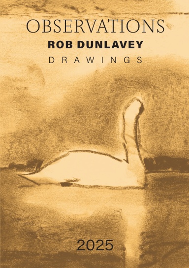 OBSERVATIONS 2025