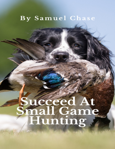 Succeed At Small Game Hunting