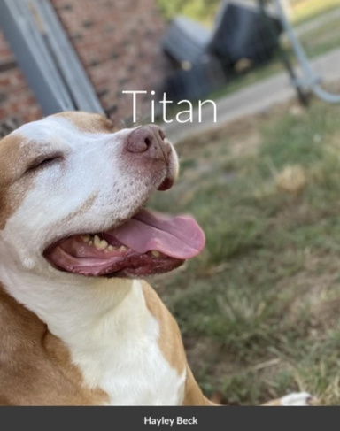 Titan