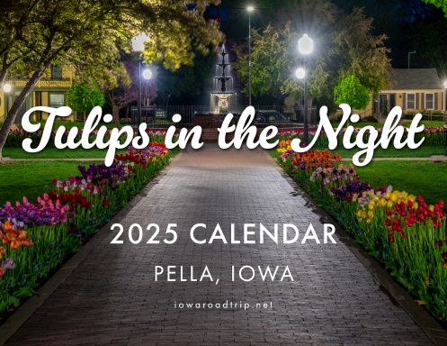 2025 Tulips in the Night Calendar