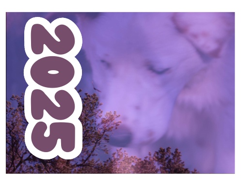 Double Vision Calendar