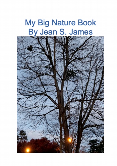 My Big Nature Book