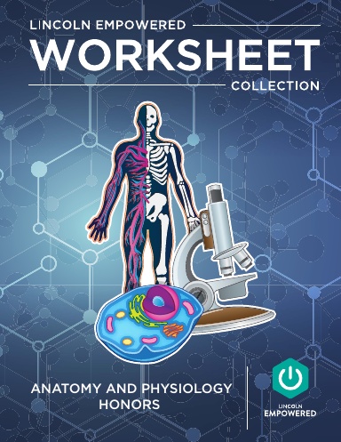Anatomy and Physiology Honors - Worksheet Collection