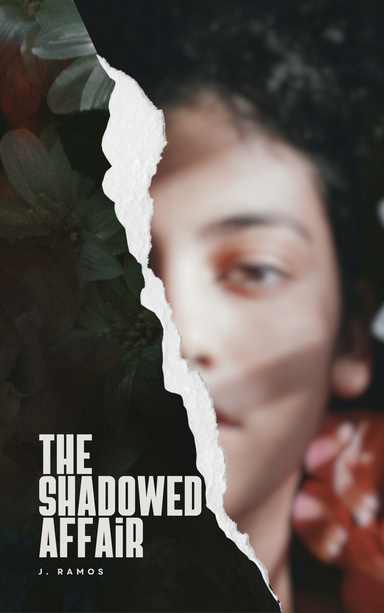 The Shadowed Affair
