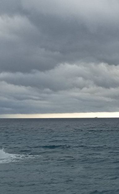 Il calamaio del capitano Pescetto