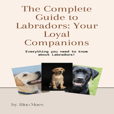 The Complete Guide to Labradors: Your Loyal Companions