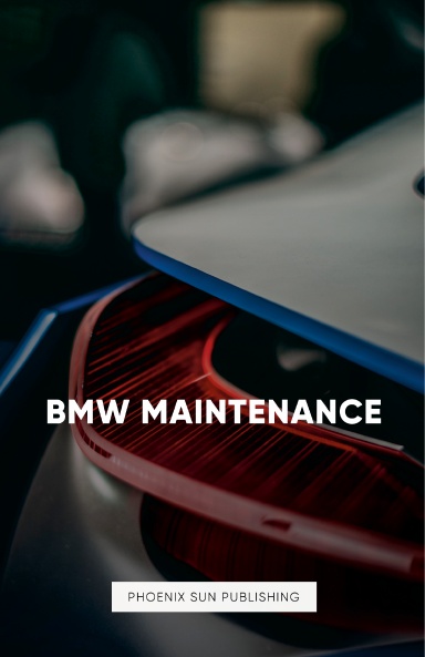 BMW Maintenance