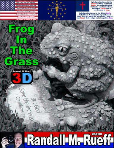 Frog In The Grass (3D) - The Installments