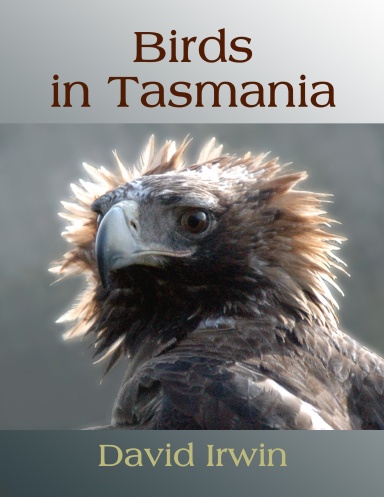 Birds in Tasmania