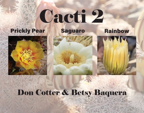 Cacti 2: Prickly Pear, Saguaro, Rainbow