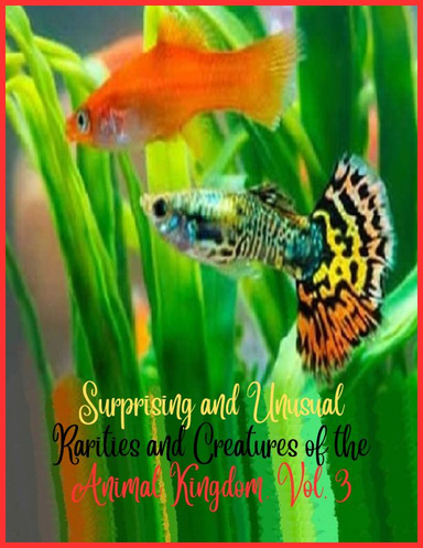 Surprising and unusual rarities and creatures of the Animal Kingdom. Vol. 3