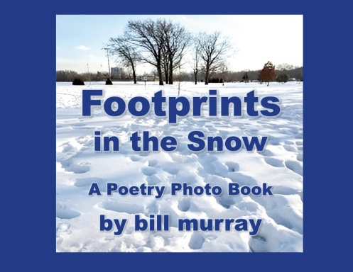 Footprints in the Snow