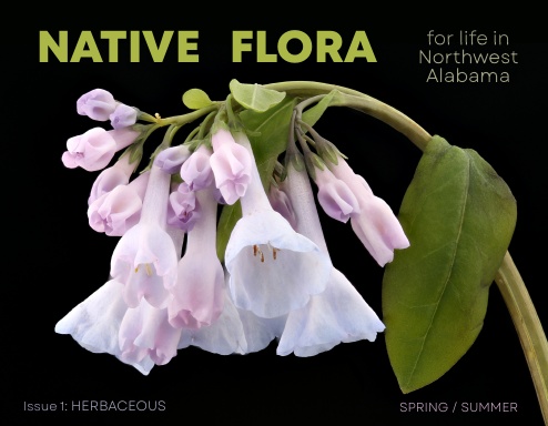 NATIVE FLORA 1