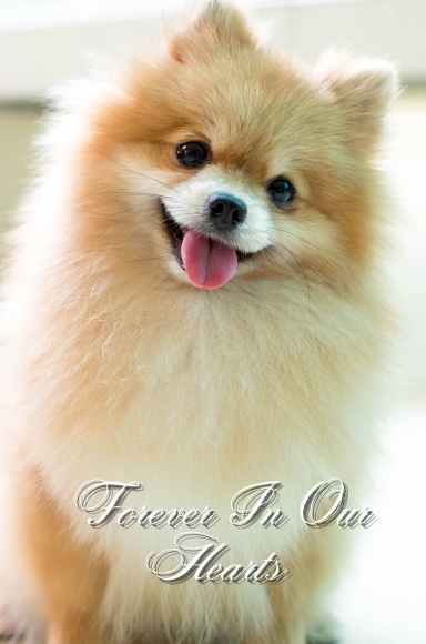 Forever In Our Hearts