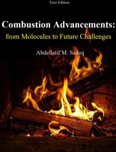 Combustion Advancements: from Molecules to Future Challenges