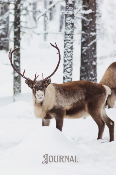 Winter Caribou Journal Paperback