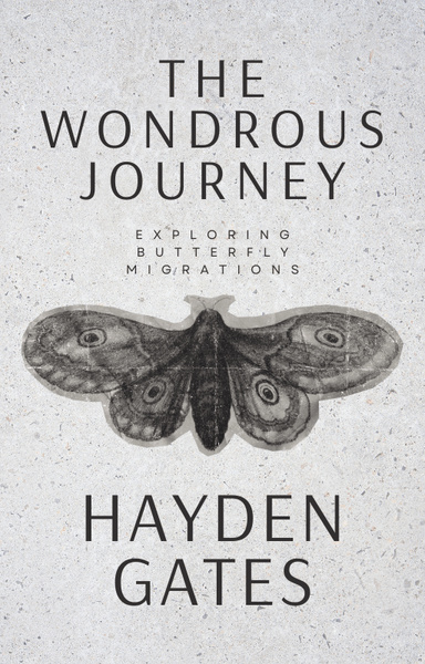 The Wondrous Journey: Exploring Butterfly Migrations