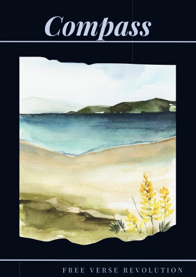 Issue XI: compass