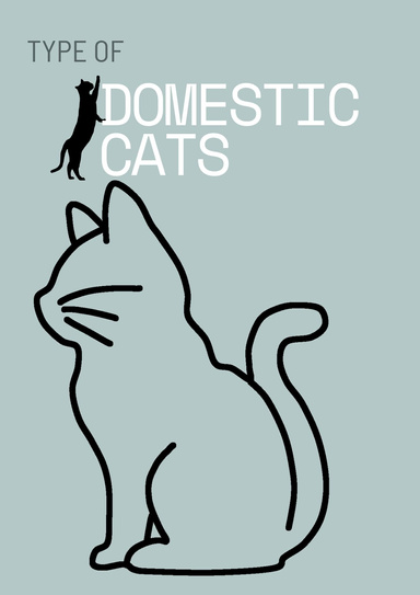 Type of Domestic Cats