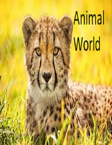 Animal World