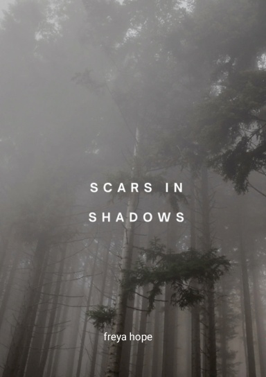 scars in shadows