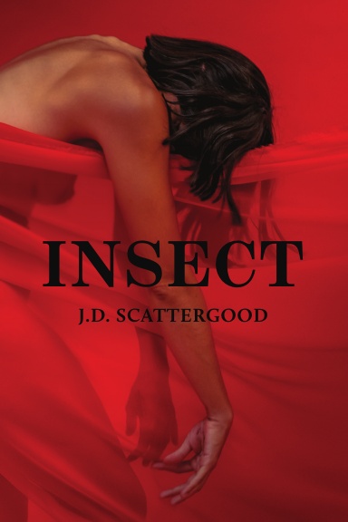 Insect