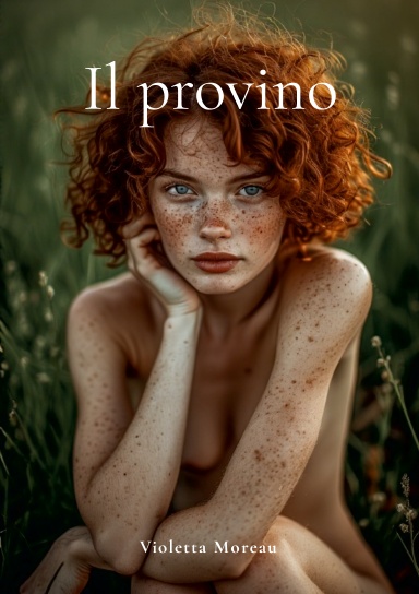 Il provino