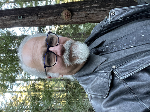 Image of Author Ken Goldstein