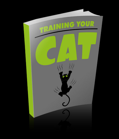 TrainingYourCat