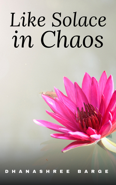 Like solace in chaos