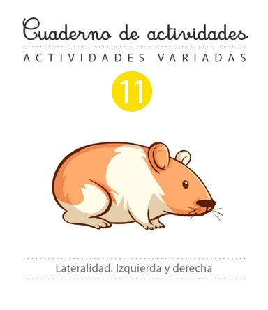 Cuaderno de Actividades