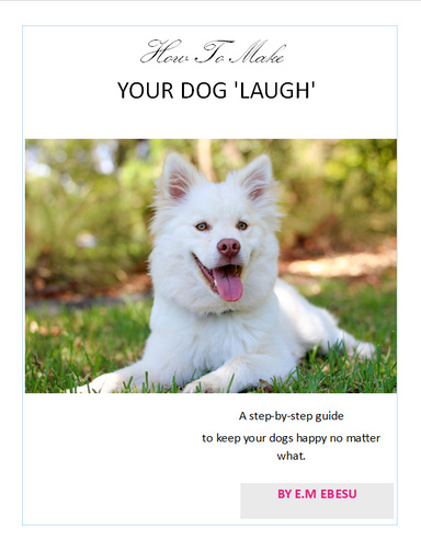 MAKE YOUR DOG LAUGH